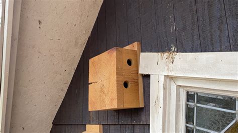 metal roosting boxes|roosting boxes for chickadees.